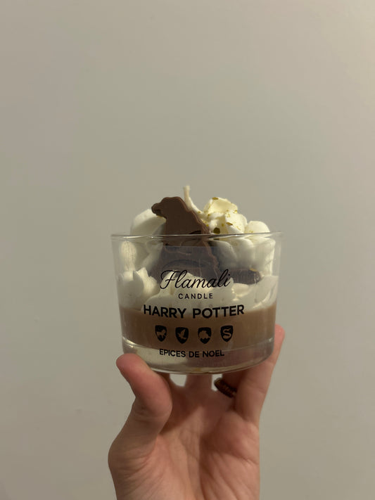 HARRY POTTER - Épices de Noël