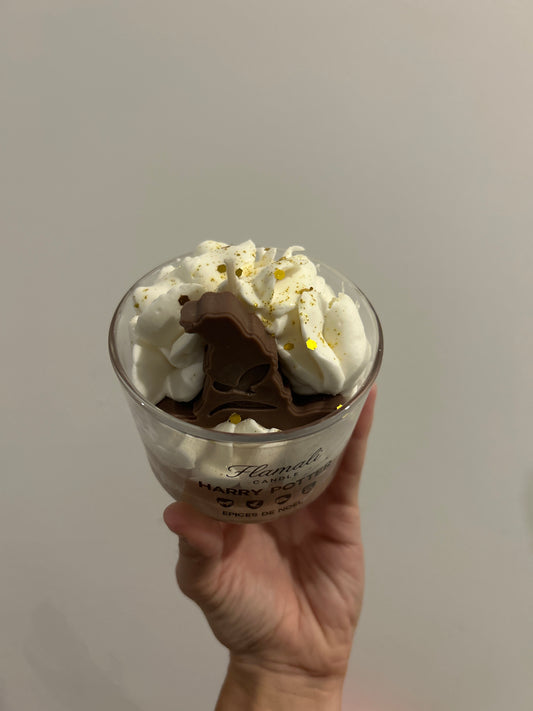 HARRY POTTER - Épices de Noël